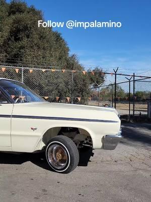 Woodley Park 2025  #impalaminoflick #woodleypark #64impala #1964impala #impala #lowrider #supersport  #vannuys #socal #streetshit #spokes #hydros #hydraulics #vannuys 