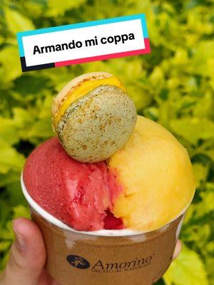 Sorbetto de Mango, Lampone y un macaron PARADISO para coronarlo. ¡Dime que no quieres probarlo! 😏 #amorinomexico #gelato #gelatoitaliano #Foodie #foodtiktok #recomendaciones #saborestiktok #queprefieres 