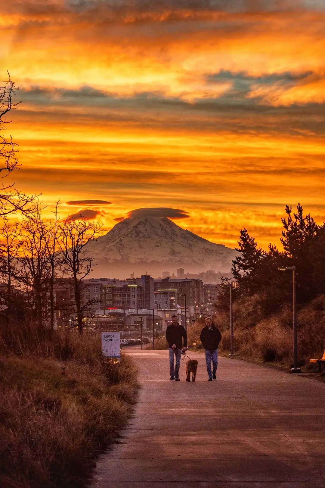 These aren’t all my “best” shots. Some of my best from 2024 are definitely in this set, but a lot of these are in here because of the experience, family memories, places and beautiful sky. #pnwphotographer #photography #chasethesun #experiences #getoutside 