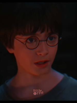 #harrypotter | 1/8 The Sorcerer’s Stone. ##harrypotter##harrypotter##harrypotteredit##harrypottertok##dracotok##dracomalfoy##dracomalfoyedit##dracoedit##ronweasley##hermionegranger##hagrid##sorcerersstone