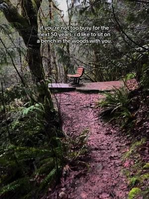 this & the loml.🖤 #newyears #2025 #naturevibes #nature #darkaesthetic #pnw #travel #traveltok #hiddengems  #Outdoors #lore #folklore #solitude #washingtonstate #witchyvibes #feminineenergy #forest #darkfantasy #witchtok #bookish #adventure #hike #wlw #wuhluhwuh #waterfall #granolagirl 