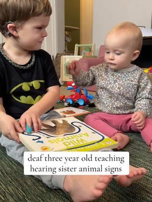 Love when I catch him reading to his baby sis 🥰 #wholesome #bigbrother #raisingdeafkids #asl #signlanguage #bilingualkids #deafandhearing 