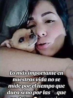 Nos enseñaste que el amor viene de dintista forma y que la felicidad se encuentra en la pequeña cosa no hablabas pero en tu mirada todo entendí que Los Ángeles llegan a tu vida en 4 patas 🐾#🐶 #teextrañaremos #siempreterecordaremos #porsiempre #🐶🕊️ #mia #miamigofiel #😭 #🇻🇪 