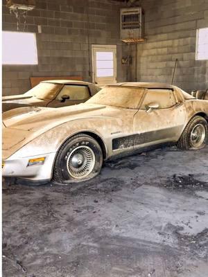 33 Original Miles Corvette First Wash in 42 Years! #wddetailing #detailing #carwash #carcleaning #satisfying #satisfyingvideos #barnfind #fyp #abandoned #cardetailing #pressurewashing #asmr #trending #trend #corvette 