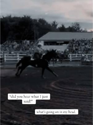 daydream about it all day long. #fyp #barrelracer #barrelracing #daydream #zoningout #fyppppp #horsegirl #relatable #rodeo #rodeotok #4upage #heard 