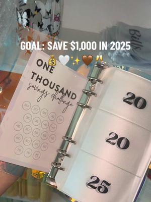 Have you set your goals for the new year? 💰🤎✨🥂🤍 #savings #newyear #newgoals #savingschallenge #budget #budgetbinder #budgeting #moneybinder #moneytok #smallshop #SmallBusiness #TikTokShop 