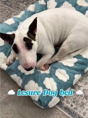 Lesure Dog Bed  La mejor cama para tus bebés perrunos.  #lesuredogbed #lesure #dogbed #dogsoftiktok #dogs #doglover #PetsOfTikTok #pet #perrijos #dogmom #Love 