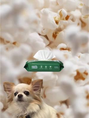 Tiny paws, big flavor 🐾🍿😋 #EarthRated #PopcornPaws #DogTikTok #PetWipes 