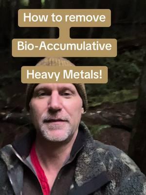 The best way to remove the bio-accumulative heavy metals before you pass them to your children! #heavymetals #heavymetaldetox #niacinflush #detox #guthealth #immunebooster #longevity #weightlossjouney #weightlosstips #depressionhelp #anxietyrelief #MentalHealth #SelfCare #selflove #healthhacks 