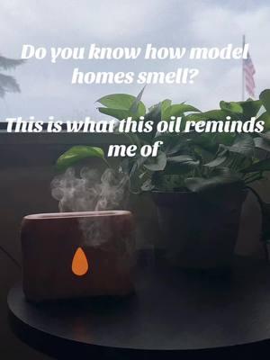 The real estate office where I used to work smelled like this too and I loveee this smell 😍😍 #diffuser #modelhomes #oildiffuser 