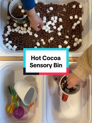 Lets talk sensory bins 👇🏼 If you’re anything like me, I was seeing them everywhere. They all looked picture perfect, so much fun, and like they came straight off of Pinterest. As busy parents, who has the time and energy for that?! Not me, that’s for sure. And then I tried them. And boy, I was wrong. Here’s the thing with sensory bins: ❤️ They can be as simple or as extravagent as you want. Dollar store is the real MVP when it comes to fillers. 🧡 You could put literally anything in a container and call it a sensory bin. We’ve done dried beans, oats, water, ice cubes, shredded paper, rice, sand, bubbles, aquafaba (chick pea foam), chia slime, pudding, you name it. 💛 They LAST. (Most of) them are not a one-time thing. Obviously ones like water, bubbles, or pudding are but dry fillers can be saved and reused over and over again. Just store in ziploc bags! 💚 They’re open-ended which means your child has to use their skills and imagination to play (which is INCREDIBLE for their brain development). There’s no right or wrong way to play. 💙 You can put literally anything on top of your “filler”. Scoops, cups, tongs, strainers, droppers, Easter eggs, etc. The possibilities are endless - and excellent for fine motor skill development! 💜 They encourage independent play. This is a BIG one for me. I love to pull these out in a pinch or while I’m making dinner. That way, my kids are near me but I can still get stuff done.  💖 They can be as clean or as messy as you want. Concerned about the mess? Do them outside. Stuck inside? Put a towel underneath. Easy clean up! ✨ they’re also a great opportunity to talk about BOUNDARIES. “This stays inside the bin. If we can’t keep it in the bin, we’ll have to put it away and try again later” Take a deep breath and give it a try. You’ll might be surprised at how simple it really is. PSA: @Beright Toys makes the best sensory table 😉  What’s your biggest struggle with sensory bins? Drop them in the comments and let’s chat! #sensory #sensoryplayideas #sensorybin #sahm #beright #berighttoys #tastesafe #toddler #toddlersensory #independentplay #screenfreeplay  