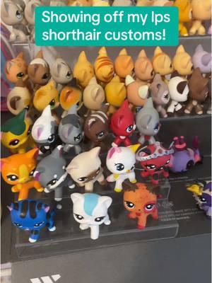 Y’all might wanna x2 this one I take my time a little bit #lps #lpstiktok #lpscrazycat1 #lpstok #lpscollection #lpscollector #toycollector #lpsshorthaircat #lpsshorthair #lpscollectiontour #littlestpetshop #littlestpetshops #littlestpetshoptiktok #littlestpetshopcommunity #littlestpetshopcollection #thelpscollector #lpscollector👑 #toycollecting #lpscustom #lpscustoms #lpscustomizer 