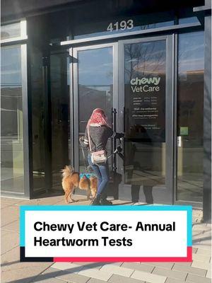 Annual heartworm tests with @Chewy help keep Kota active and adventurous in his favorite activities! Heartworm prevention isn’t always 100% effective, which is why annual tests are also important. Complete your first appointment and receive a $50 Chewy gift card! #ad #chewydogs #heartwormprevention #vetcare #petparents #chewyvetcare