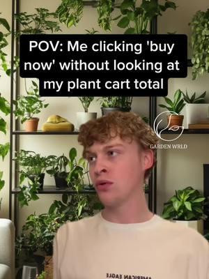 One way to go about it 😂  #houseplant #plantsofinstagram #houseplants #plants #plantsmakepeoplehappy #plant #plantlover #urbanjungle #houseplantclub #indoorplants #houseplantsofinstagram #plantlife #plantstagram #plantaddict #houseplantcommunity #indoorjungle #plantlove #philodendron #plantmom #indoorplant #tanamanhias #plantsplantsplants #monstera #urbanjunglebloggers #garden #plantlady #nature #plantparent #homedecor #gardening 