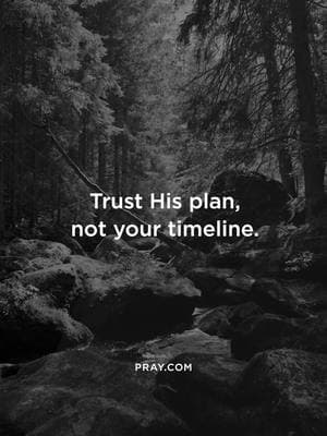 His timing is always perfect, even when it's not ours. Trust His plan. 🙏🕊️ #TrustInGod #GodsTimingIsPerfect #FaithInTheWait #HisPlanNotMine #LetGoAndLetGod