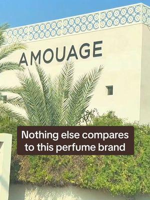 Fragrance lovers, you cannot miss Amouage. Another incredible gem from the beautiful country of Oman. @AMOUAGE #nichefragrance #fragrancelover #fragrancecollector #amouage #oud #traveltheworld #middleeastperfumes #luxurybeauty #luxuryfragrance #weddingfragrance #weddingperfume #2025bride  #WeddingTraditions #fiance #bridalperfume #weddingdayscent 