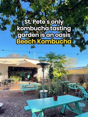 St. Pete’s only kombucha tasting garden, is an oasis in the heart of our city 🌴 Beech Kombucha  📍3100 Freemont Terrace S ✨ MUST-TRY ✨ ☕️ Chai Spice Pomegranate Kombucha 🍊 Mandarin Tonic Kombucha 💫 HOOCHY MELON - a boozy kombucha that’s gluten-free and organic 🌿 Pineapple Express w/THC Delta 9  🍫 GF/DF snack bites menu made by @snacks from @simplynaked.co PSA: They have free WiFi + outlets in the garden (plus heaters for the cooler days) 🍿 Check out their events calendar for comedy nights, movies in the garden, live music, food trucks, and more.  ABOUT BEECH KOMBUCHA: The 2nd largest kombucha tasting room in the whole country with 24 taps and 200+ rotating seasonal flavors.  They have 1000+ gallons brewing at any one time in their small batch kombucha production on-site.  🎨 Exterior mural by Brian McAllister + interior mural by Beech’s own Julian  #ilovetheburg #StPete #stpetefl #florida #tampabay #instaburg #vspc #kombucha #booch #stpetersburg #beechkombucha 