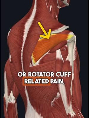 🎯 3 Critical Exercises for Eliminating Shoulder Pain! (Full program in my bio link) - #physicaltherapy #rotatorcuff #shoulderimpingement 