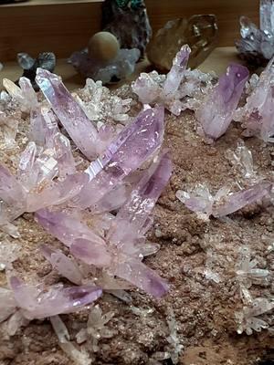 Dozens of gemmy clusters of Amethyst crystals are scattered across the sparkling, druzy matrix on this large cabinet specimen from Vera Cruz, Mexico. The reverse features miniature versions of the crystal flowers Vera Cruz is famous for. Studio Mineralia ✨link in bio ✨#Earth #Art #Gallery #amethyst #amethystcrystal #amethyststevenuniverse #crystalsoftiktok#crystals #mineralspecimen #minerals  #fridayvibes #crystaltok #interiordesignideas #tucsongemshow#interiordecor#crystalbox #naturaldecor #earthart #purpleaesthetic #purple