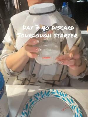 Day 7 no discard sourdough starter #sourdough #sourdoughstarter #sourdoughstartertutorial #sourdoughstarterday7 #sahmsoftiktok #sourdoughstarternodiscard #nodiscardsourdough 