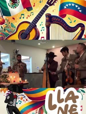 MEX🇲🇽VEN🇻🇪 Le debo mucho a México y al Mariachi💙 Aquí tocando un Balajú con mis amigos del @mariachiimperial 🎶 📍 @cucharitabakery  #mariachi #musicamexicana #veracruz #arpa #joropo #musicallanera #mexico #venezuela #houston #tx #houstontx 