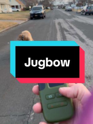 Jugbow#jugbow#ecollar #tiktokdeals #TikTokShop #dogsoftiktok#ecollar 