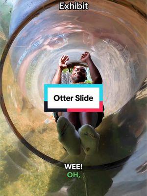 This was the coolest feature in the zoo! There is a human slide through the otter exhibit!  Yall go watch the full episode on my YouTube page. Link in bio.  #otter #slide #zookeeper #junglejordan