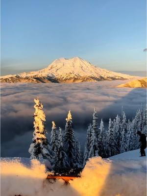 Take me back to magical winter evening at Mt. Rainier ✨ #winterhiking #washingtoncheck #pnwhikes 