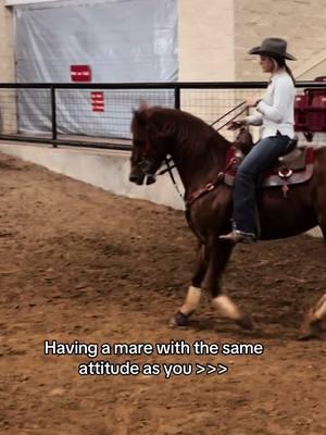 the sweetest baby in my eyes 🫶…although definitely a handful, definitely interesting, definitely scary at times, I wouldn’t change it for anything 🥰 #barrelracer #barrelhorse #barrelracertok #relatable #attitude #funny #horsesoftiktok #fyp 