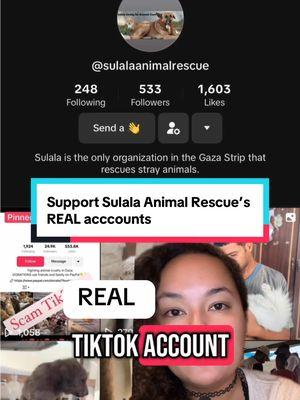 Follow the real accounts @sulalaanimalrescue and @سلالة -Sulala Animal Rescue to support their efforts 🕊️ and help us get  animal food in!  Video credit: @Hiililylani 🌺🇵🇸  #animalrescue #animalsoftiktok #animals #animalshelter #feedanimals #feedgazaanimals #sulalaanimalrescue #fyp #foryou #foryoupage 