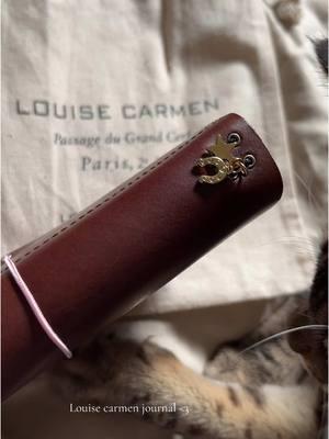 It’s so pretty #louisecarmen #journal #journaling #fyp #aesthetic #foryoupage #travel #fyppppppppppppppppppppppp #thoughtdaughter #writing 