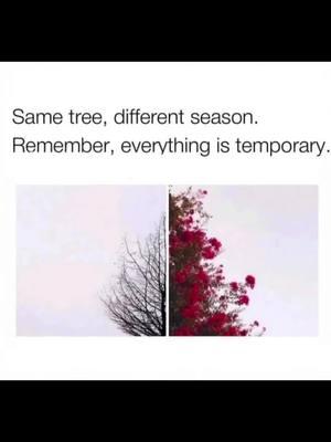 Things can change in the blink off an eye! Love & treasure what & who you have. RESPECT who you have! Starting over is tough. #fyp #january2025 #newyear #family #thankful #favorite #blessed #goodonesdoexist 