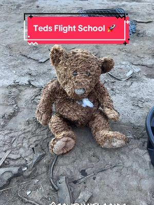 Let me know what we should do with target Ted next! #crushinflorida #fyp #junkyard #scrapyard #shenanigans #donttrythisathome #carcrushing #destruction #carnage #crazy #airbag #targetted #teddybear 