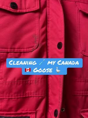 Cleaning my Canada 🇨🇦 Goose 🪿 #Canada #CanadaGoose #canadagoosejacket #homemadelaundrydetergent #stainremover #stainremoval 