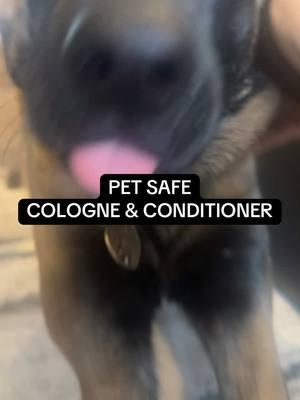 This is the best pet cologne and conditioner. ##PetCologne##FreshSmellingPets##PetCareEssentials##FurBabyCare##PetGroomingProducts##OdorControl##HappyPets##SoftAndFresh##PetFriendlyCare##PamperedPets##LuxuryPetCare##PetHygiene##SafeForPets##PetFreshener##CleanAndFreshPets##PetParentLife##FurFriendlyCare##SpoilYourPet##PetLoversMustHave##PetCareGoals##GroomingEssentials##FurBabyLove##PetCareRoutine##PetOdorControl##FreshAndCleanPets