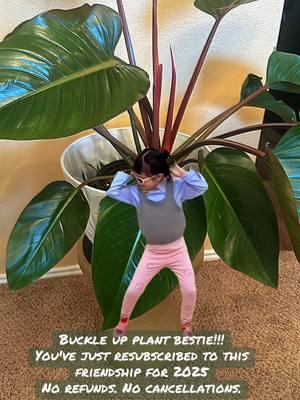 Hi plant bestie!!!! You’re stuck with me forever 🪴 🌼🌱 #MemeCut #memenatal #MemeCut #memenatal #MemeCut #memenatal #plantfriends #Meme #MemeCut #memenatal 