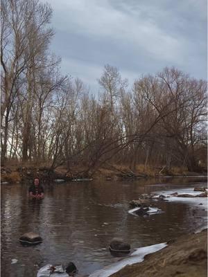 20 seconds down, 30 seconds next. 🥶 • This was a complete spur of the moment decision while I was walking by the Poudre River, and I just popped the camera down and took a dip. I didn’t time myself or anything, but looking back, I ended up staying waist deep for 20 seconds. Next time, I’ll go for 30. :) • #coldplunge #poudreriver #colorado #foco #hippie #hippies #hippietok #dreadlocks #dreads #nature #naturevibes #naturelover #river #rivers #riverside #gooutside #explore #barefoot #fyp 