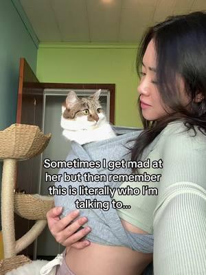 She was a mother before she became my baby 🥹 #fyp #viral #sukipurrs #catsoftiktok #catmom #funnycats #catmemes #crazycatlady #catlover #cattok #britishshorthair #derpycats #sadcat #cutecats