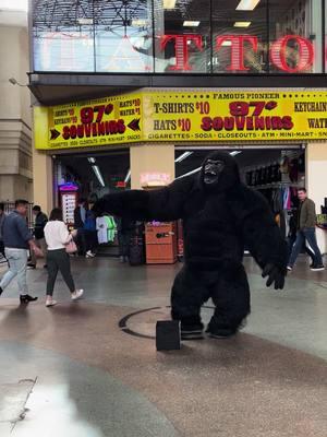 Hasta Los #chinitos se asustan con HONK KONG #vegas #oldvegas #fremontstreetexperience 