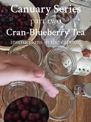 Part two of canuary and we're making tea.  I love finding new ways to use up my cranberries during cranberry season and this tea is so refreshing.  You can make it with regular tea or I used blueberry tea made with dehydrated blueberries.  1. Prepare your jars, lids, and rings.  2. Wash your fruit. I used a combination of cranberries and blueberries but you can use just cranberries.  3. Load each quart jar with 1 cup fruit, 1/4 sugar, and fill to one inch head space with tea. *I like a little cinnamon in mine but you can omit. 4. Wipe rims, place on lids, and tighten rings to finger tip tight.  5. Water bath for 20 minutes.  6. Remove from water bath and let cool.  7. After 24 hours remove rings and check you seal.  8. Store for 2 weeks before consuming. The longer it sits, the stronger the fruit flavor🤤 In the summer you can do this with peaches and it's a real winner. #canningandpreserving #canning #teatime #cranberry #fruittea #tearecipes