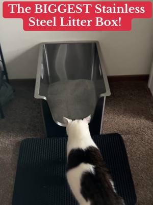 This high sided stainless steel litter box is definitely a must have 😍 #cat #catsoftiktok #cattok #litterbox #stainlesssteellitterbox #catlitterbox #litterboxhack #litterboxtips #litterboxcleaning #cattips #tiktokshopfinds #mademyyear #newyearnewaura #spotlightfinds #fyp 