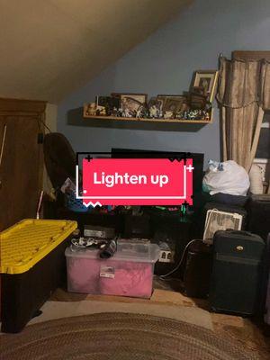 Its a surprise what i can find for props. #fyp #furry #pink #tigerlynx #fursona #fursuit #fursuiter #furrytiktok #acting #furrytiktoker #meme #lightenup #lamp 