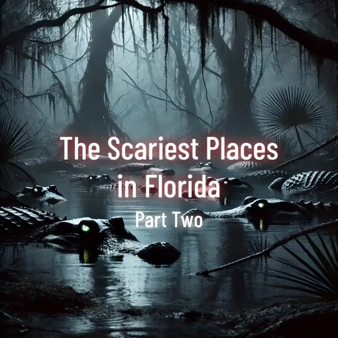 Florida is one of the most haunted states in America because of its dark and turbulent history.  From bloody battles between Indigenous tribes and European settlers to the deadly hurricanes that have claimed countless lives, the Sunshine State has always been a magnet for tragedy.  Its swamps and waterways are perfect backdrops for ghostly legends.        1.	Bellamy Bridge (Marianna) 	2.	Spanish Military Hospital (St. Augustine) 	3.	The Cuban Club (Tampa) 	4.	Koreshan State Park (Estero) 	5.	Palace Saloon (Fernandina Beach) 	6.	Tampa Theatre (Tampa) 	7.	Spring Hill Cemetery (Brooksville) 	8.	The I-4 “Dead Zone” (Sanford) #hauntedflorida #florida #horr #ghoststories #scarytiktok #hauntedplaces #floridahaunts 