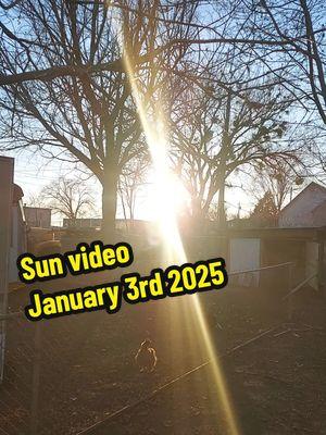 Sun video  January 3rd 2024  #sunvideo #dailyvlog  #creatorsearchinsights 