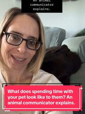 What does spending time with your pet look like to them? An animal communicator explains. #animalcommunication #animalcommunicator #petpsychic #petpsychicreading #petcommunicator #petcommunication #animalpsychic #petmedium #caninecommunication #felinecommunication #talktoanimals