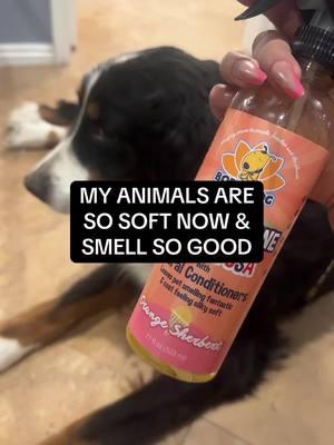 This is the best smelling pet cologne, and conditioner ever. ##PetCologne##FreshSmellingPets##PetCare ##PetCologne##FreshSmellingPets##PetCareEssentials##FurBabyCare##PetGroomingProducts##OdorControl##HappyPets##SoftAndFresh##PetFriendlyCare##PamperedPets##LuxuryPetCare##PetHygiene##SafeForPets##PetFreshener##CleanAndFreshPets##PetParentLife##FurFriendlyCare##SpoilYourPet##PetLoversMustHave##PetCareGoals##GroomingEssentials##FurBabyLove##PetCareRoutine##PetOdorControl##FreshAndCleanPets