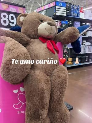 Me tropecé con el oso más hermoso #jesusteamo #tiktokpartner 