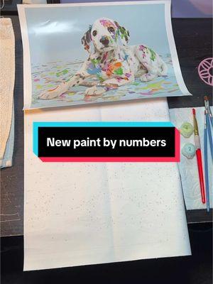 This is so convenient!!!! #paintbynumbers #painttok #crafttok #specialinterest #neurodivergent