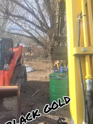 #gold #yanmar #scoopythingmafia #excavationlife #mechanic #cat 