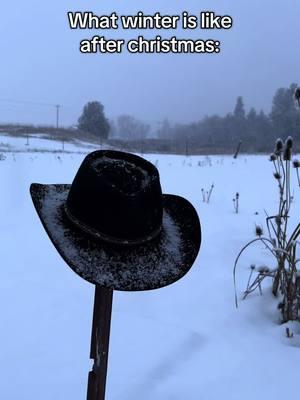 What winter is like after christmas #mryazzie #viral #trending #90k #80k #rdr2 #montana #winter #christmas 